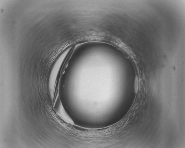 X0000055990009200508261736