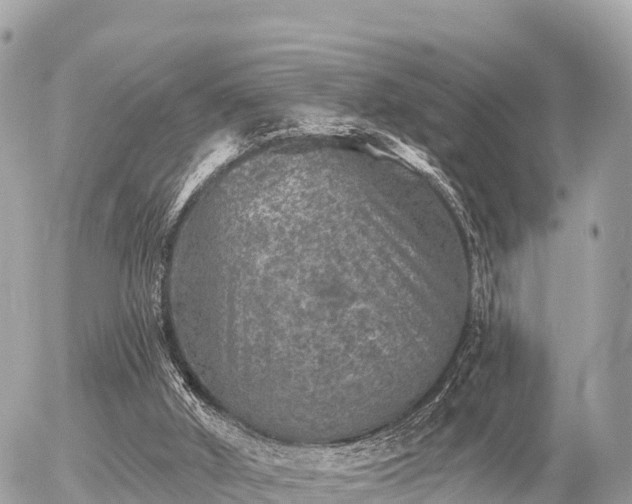 X0000055990010200508261736