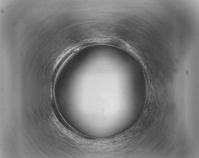 X0000055990011200508261736