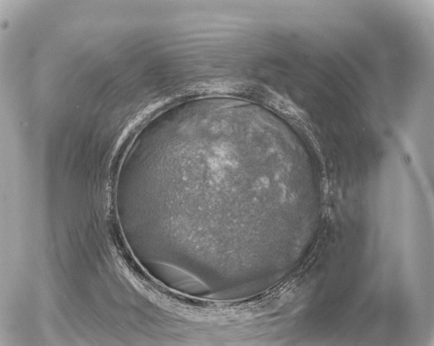 X0000055990012200508261736