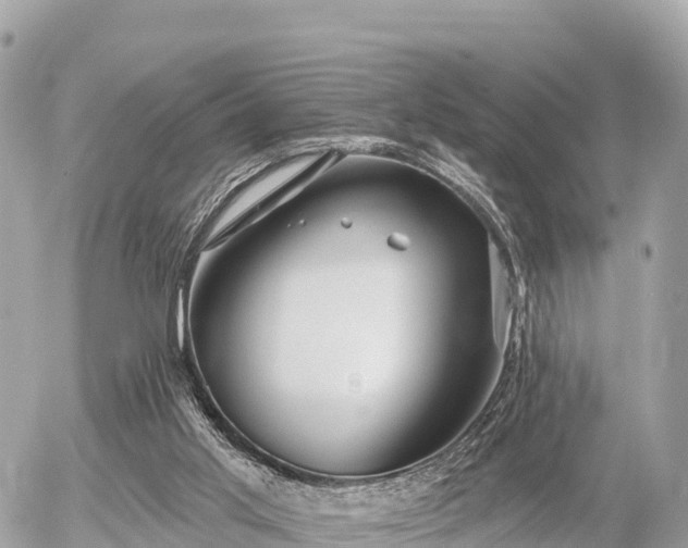 X0000055990013200508261736