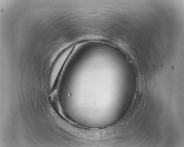 X0000055990015200508261736