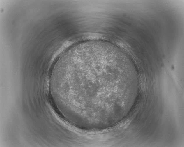 X0000055990016200508261736