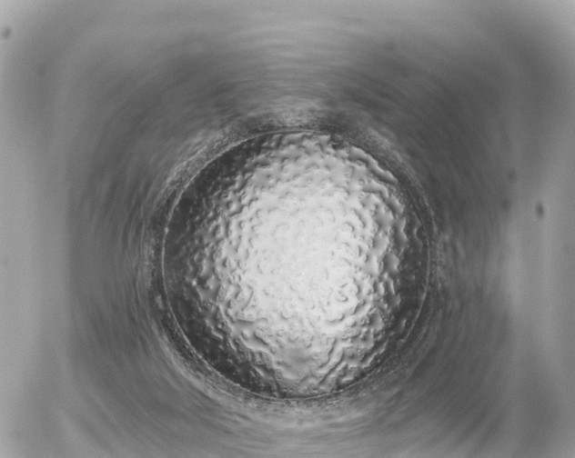 X0000055990018200508261736