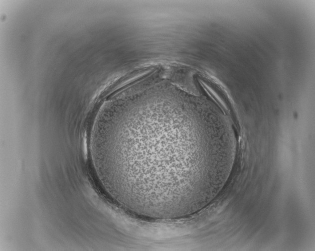 X0000055990020200508261736