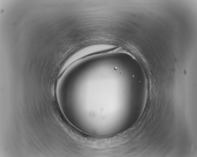 X0000055990021200508261736