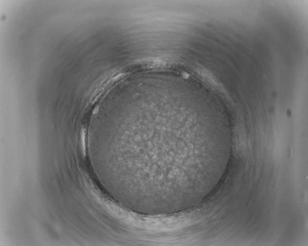 X0000055990022200508261736