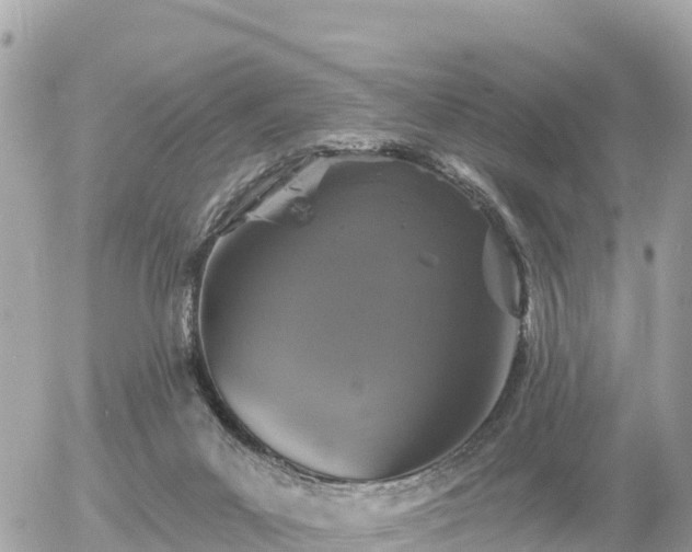 X0000055990023200508261736