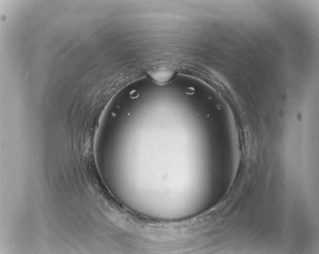 X0000055990025200508261736