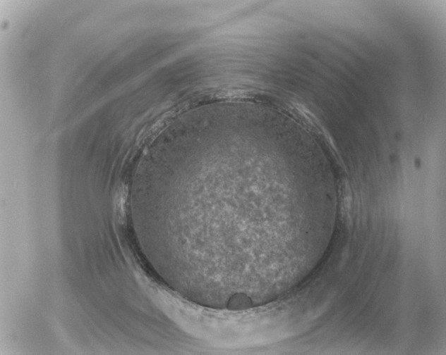 X0000055990026200508261736