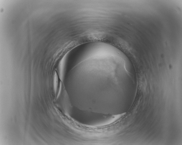 X0000055990027200508261736