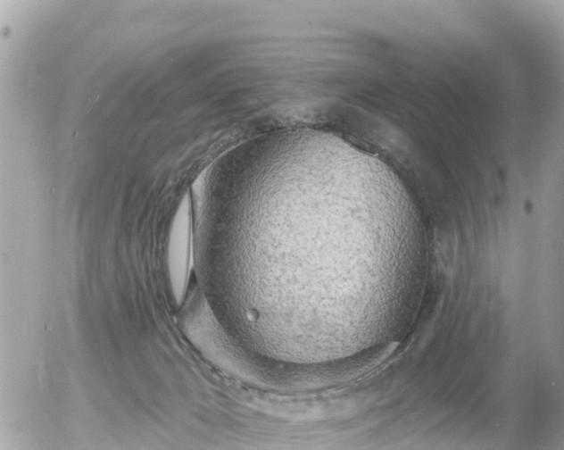 X0000055990029200508261736