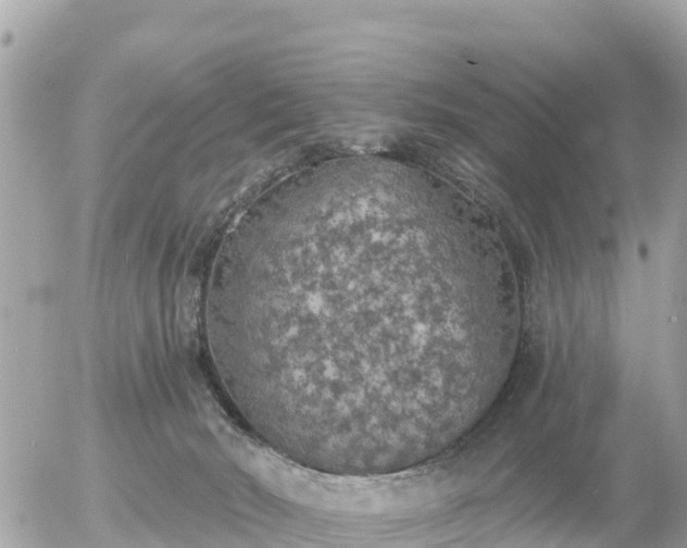 X0000055990030200508261735