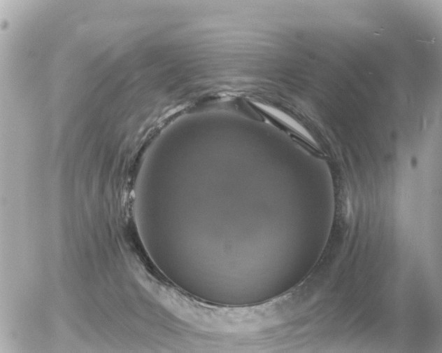 X0000055990031200508261735