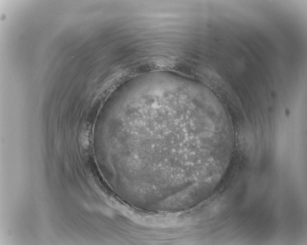 X0000055990032200508261735