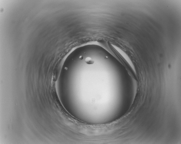 X0000055990033200508261735