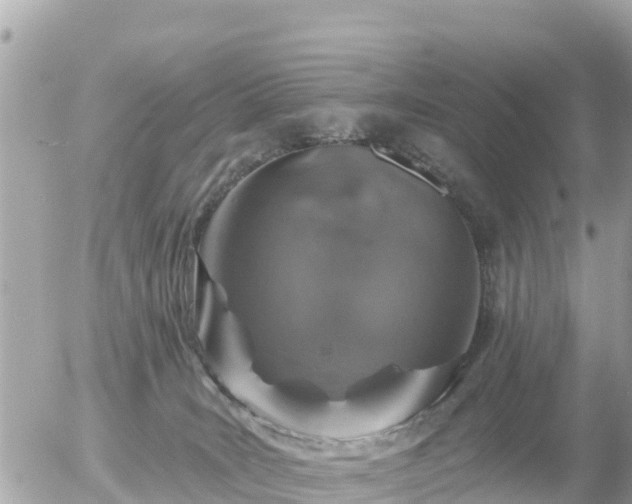 X0000055990035200508261735