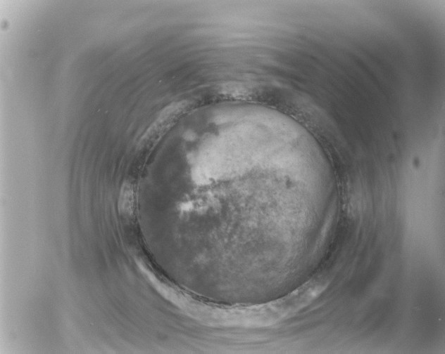 X0000055990036200508261735