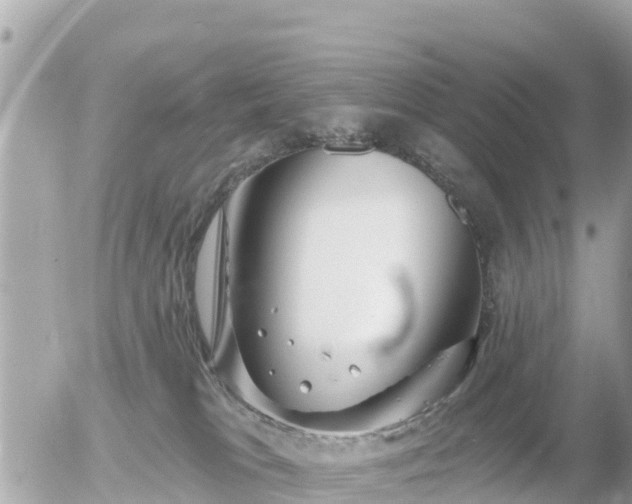 X0000055990037200508261735