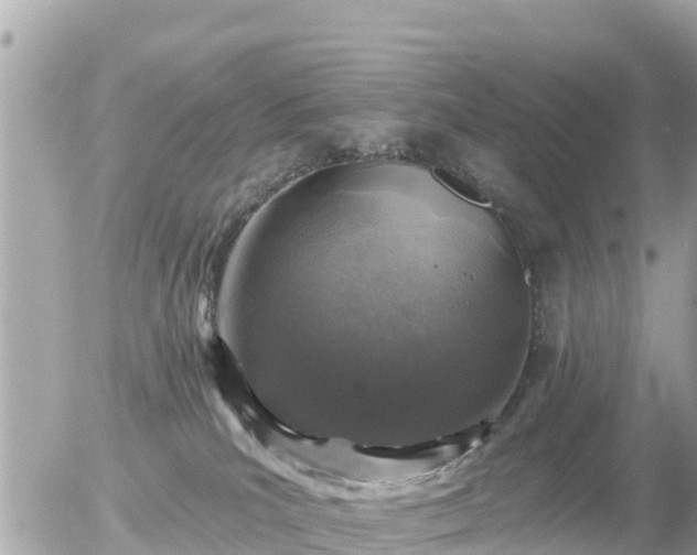 X0000055990039200508261735