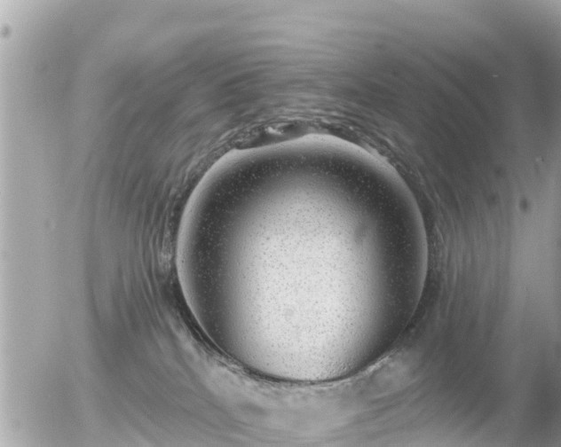 X0000055990040200508261735