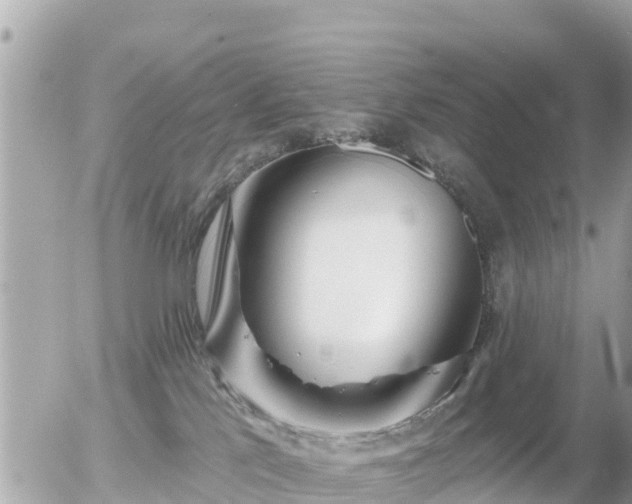 X0000055990041200508261735