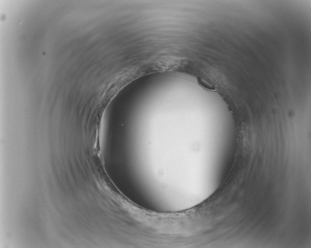 X0000055990042200508261735