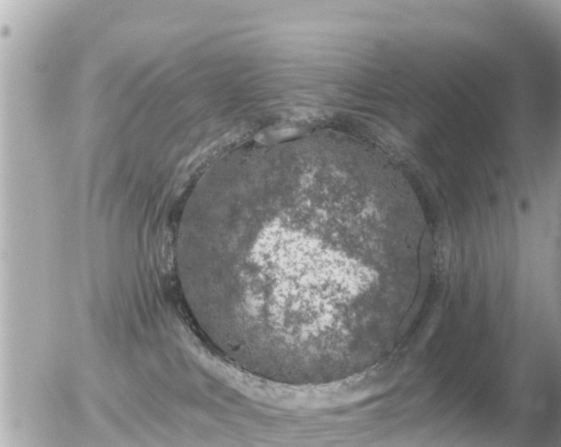 X0000055990043200508261735