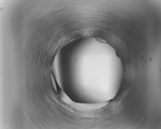 X0000055990044200508261735