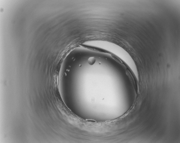 X0000055990045200508261735