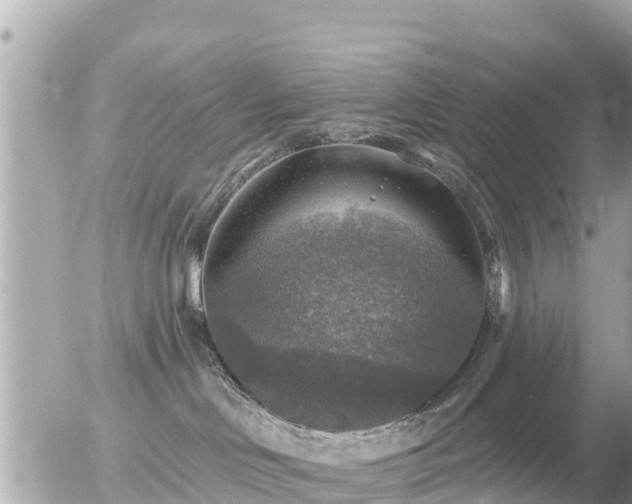 X0000055990046200508261735