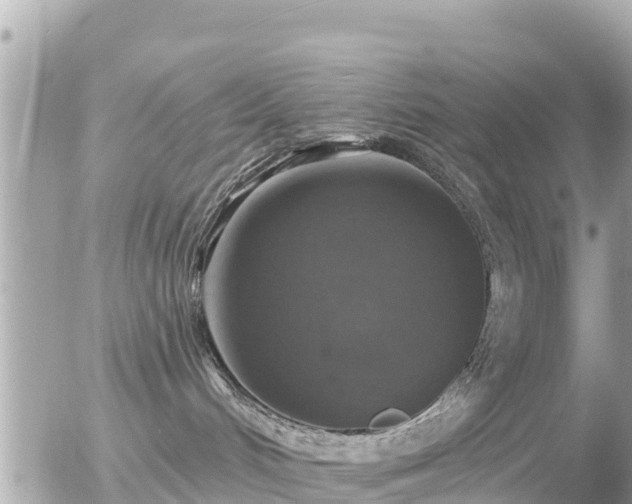 X0000055990048200508261735