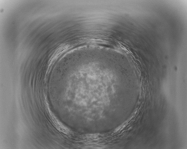 X0000055990049200508261734