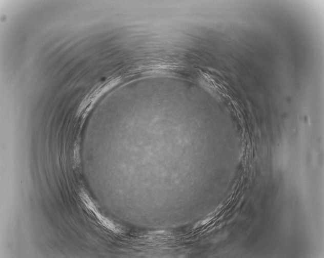 X0000055990050200508261734