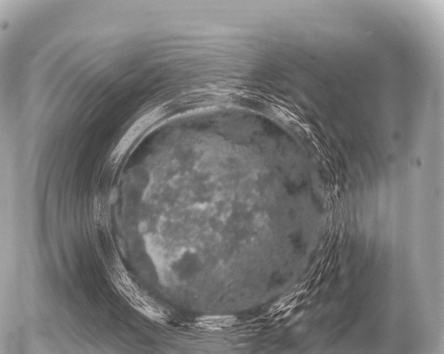 X0000055990051200508261734