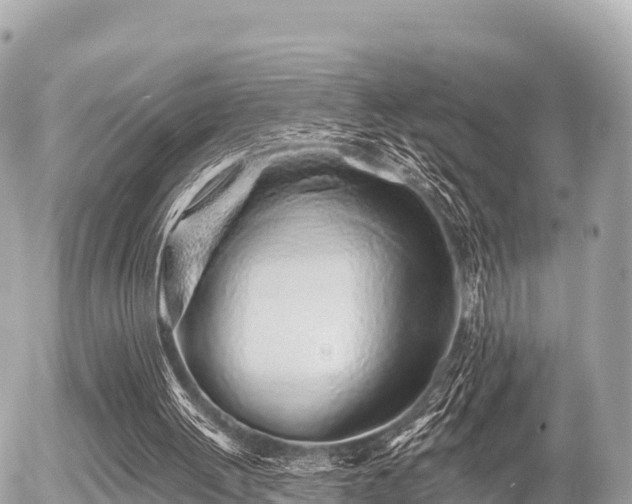 X0000055990052200508261734