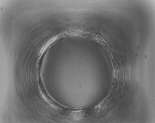 X0000055990054200508261734