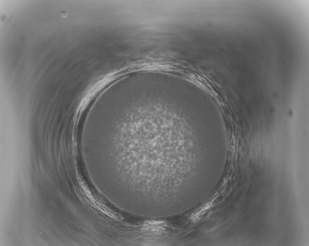 X0000055990055200508261735