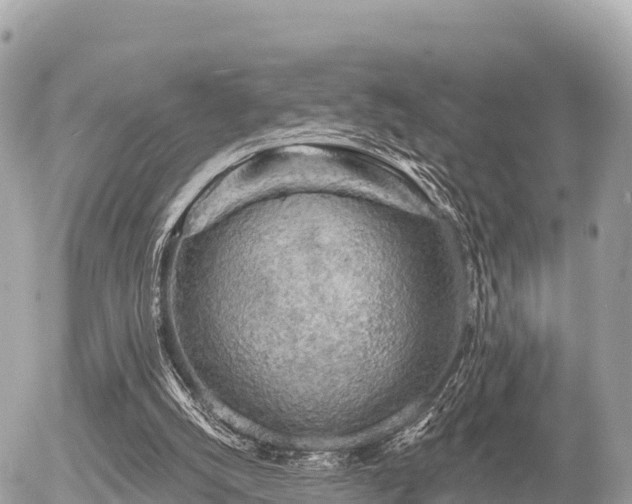 X0000055990056200508261735