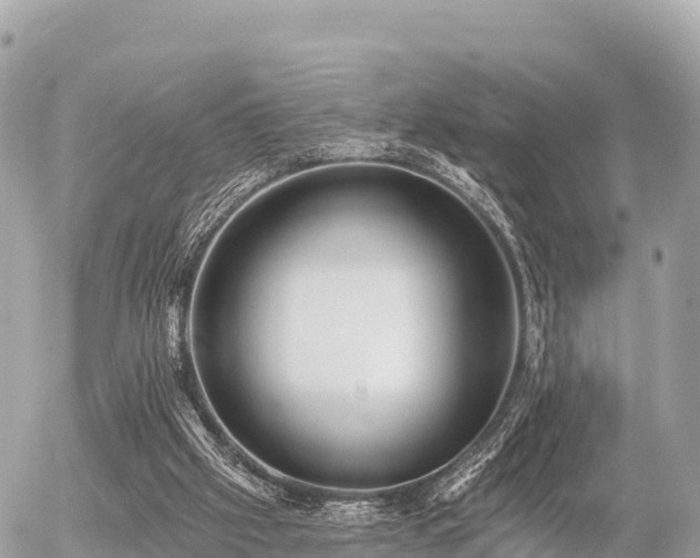 X0000055990057200508261735