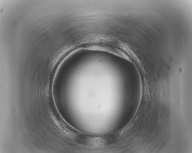 X0000055990058200508261735