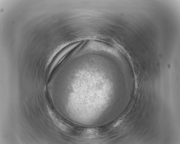 X0000055990060200508261735