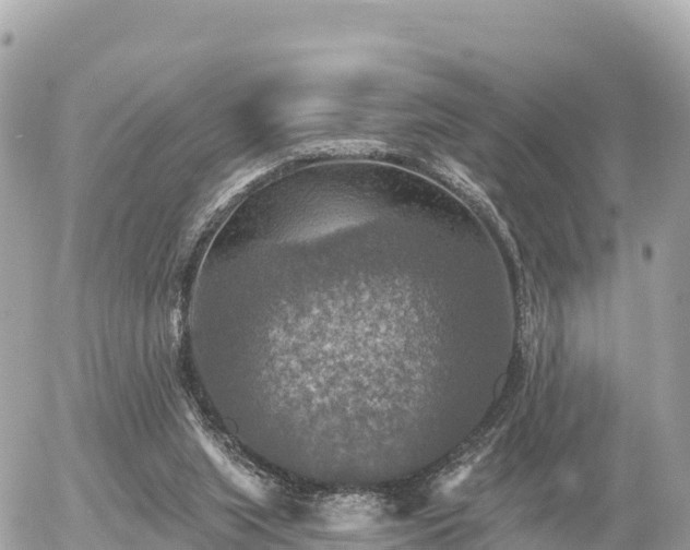 X0000055990063200508261735