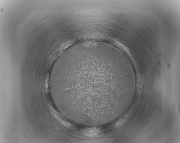 X0000055990065200508261735