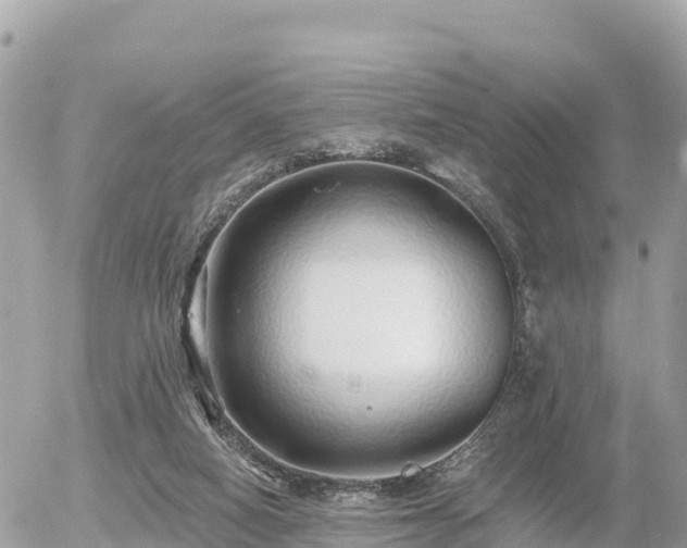 X0000055990066200508261735