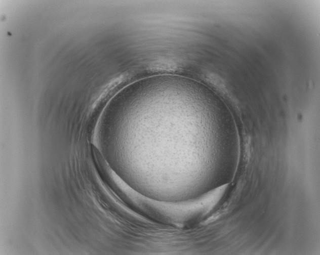 X0000055990068200508261735