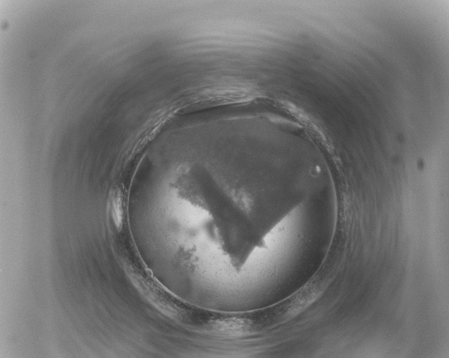 X0000055990069200508261735