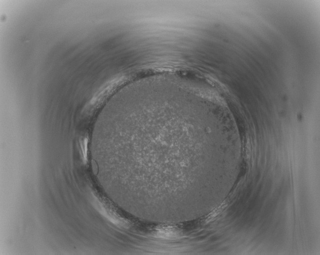 X0000055990070200508261735