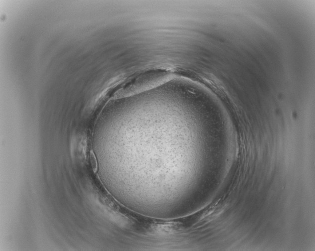 X0000055990072200508261735