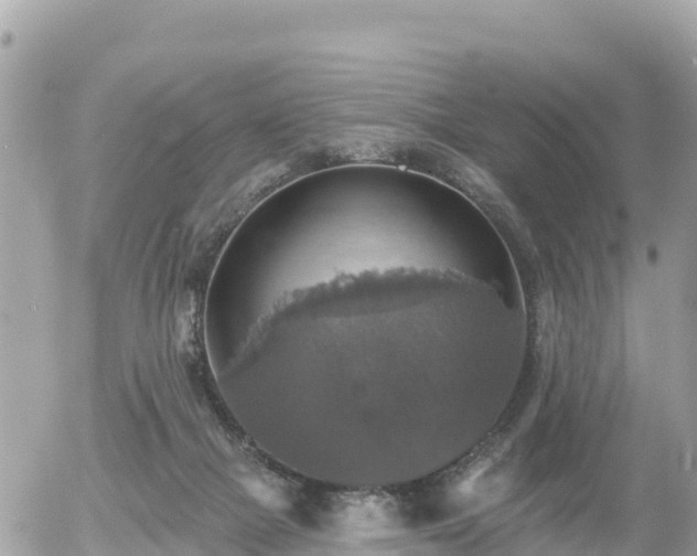 X0000055990073200508261735